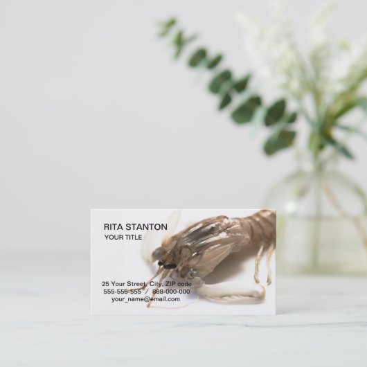 Langoustine Visitekaartje (Staand voorkant)