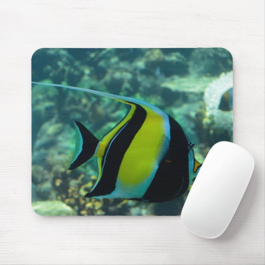 Langovinebaniervis Muismat (Met muis)