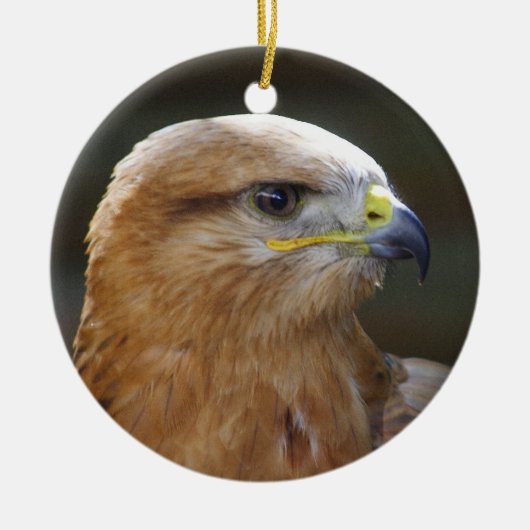 Langpotige buzzard keramisch ornament (Voorkant)