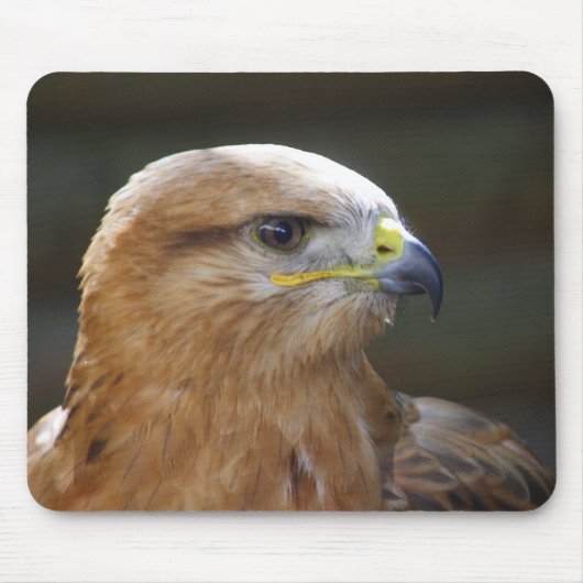 Langpotige buzzard muismat (Voorkant)