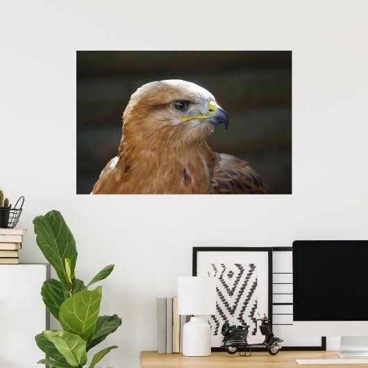 Langpotige buzzard poster (Thuiskantoor)