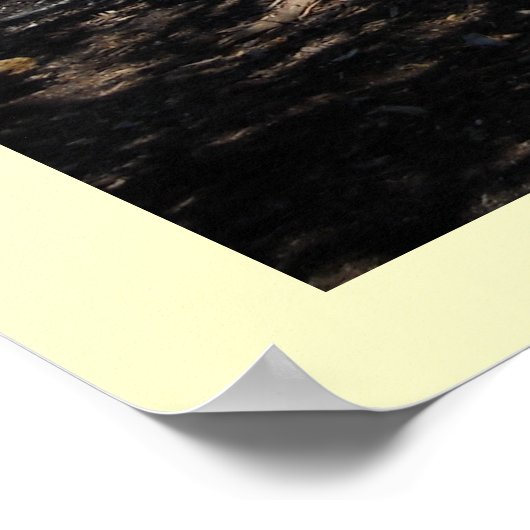 Langs de oceaan poster (Hoek)