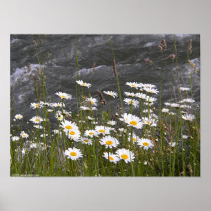 Langs de Stroom Poster