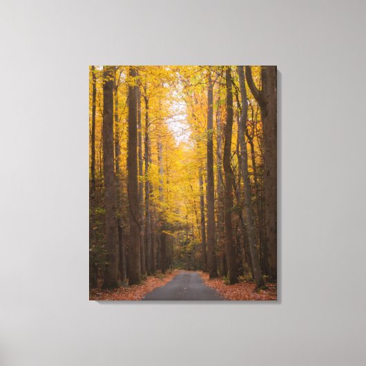 Langs de weg canvas afdruk (Voorkant)