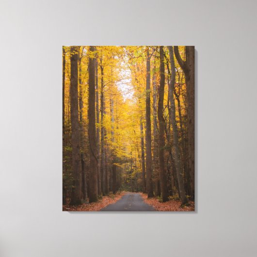 Langs de weg canvas afdruk (Voorkant)