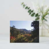 langs de weg - Canyons van Trail Briefkaart (Staand voorkant)