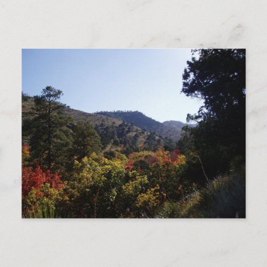 langs de weg - Canyons van Trail Briefkaart (Voorkant)