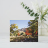 langs de weg - grasland briefkaart (Staand voorkant)
