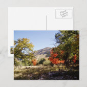 langs de weg - grasland briefkaart (Voorkant / Achterkant)