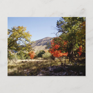 langs de weg - grasland briefkaart