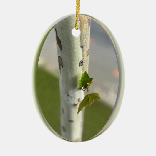 langs de weg keramisch ornament (Voorkant)