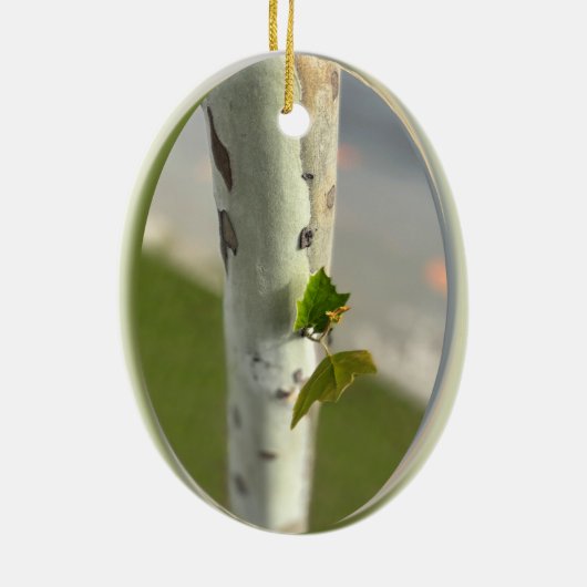 langs de weg keramisch ornament (Achterkant)