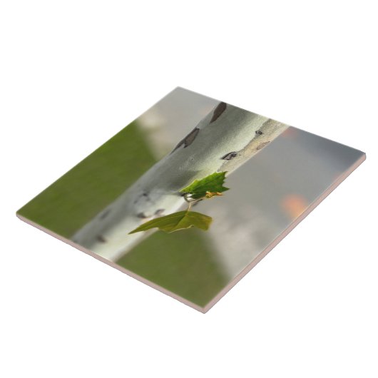 langs de weg tegeltje (Zijkant)