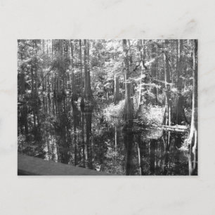 Langs het Briefkaart van de Bank