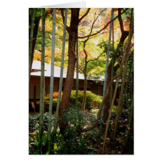 Langs het pad van de Filosoof