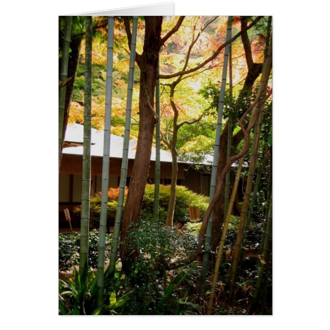 Langs het pad van de Filosoof (Voorkant)