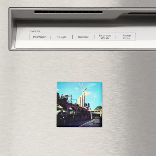 Langs het spoor magneet (Insitu (Vaatwasser))