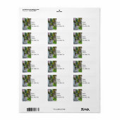 Langs Rainbow Row wandelen Etiket (Full Sheet)