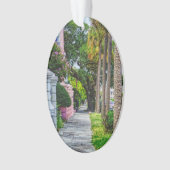 Langs Rainbow Row wandelen Ornament (voorkant)