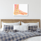 Langsdoorsnede van de menselijke voet canvas afdruk (Insitu (Slaapkamer))