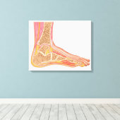 Langsdoorsnede van de menselijke voet canvas afdruk (Insitu (Houten vloer))