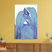 Langsdoorsnede van een esdoorn (Acer) stengelpunt Canvas Afdruk (Insitu (Woonkamer))