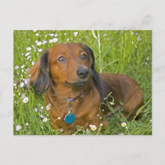 langsnat briefkaart (Voorkant)