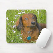 langsnat muismat (Met muis)