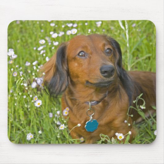 langsnat muismat (Voorkant)