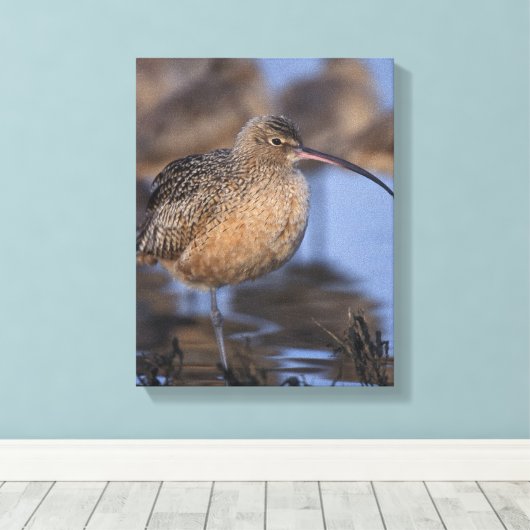 langsnavelige krullen canvas afdruk (Insitu (Houten vloer))