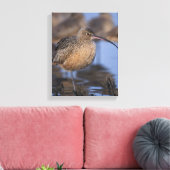 langsnavelige krullen canvas afdruk (Insitu (Woonkamer))