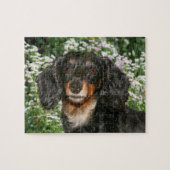 Langsnuitdachshund Legpuzzel (Horizontaal)