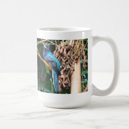 Langstaart Blauwe Vogel Koffiemok (Rechts)