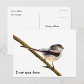 Langstaartbederf Waterverf Briefkaart (Voorkant / Achterkant)