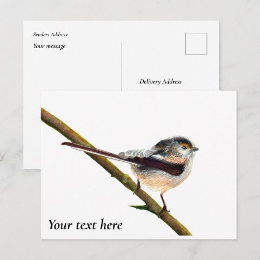 Langstaartbederf Waterverf Briefkaart (Voorkant / Achterkant)