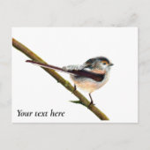 Langstaartbederf Waterverf Briefkaart (Voorkant)