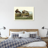 Langstaartdik - van de Amerikaanse vogels van Audu Canvas Afdruk (Insitu (Slaapkamer))