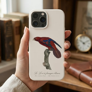 Langstaartlori, Trichoglossus borneus Case-Mate iPhone Case