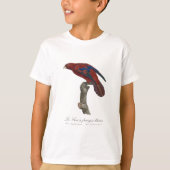 Langstaartlori, Trichoglossus borneus T-shirt (Voorkant)