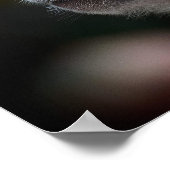 Langstaartmakaak Close-Up Poster (Hoek)