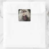 Langstaartmakaken (Macaca fascicularis) Vierkante Sticker (Tas)