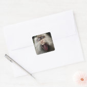 Langstaartmakaken (Macaca fascicularis) Vierkante Sticker (Envelop)