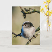 Langstaartmees in Schotland. Kaart (Gele Bloem)