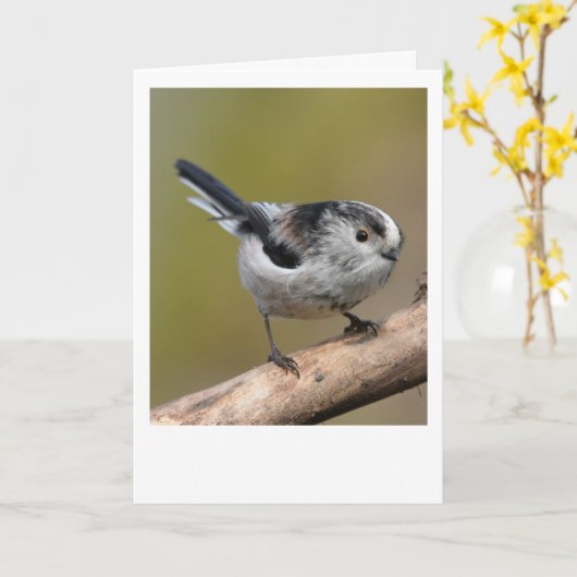 Langstaartmees. Kaart (Gele Bloem)