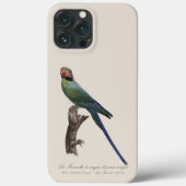 Langstaartparkiet, Psittacula Longicauda Case-Mate iPhone Case (Achterkant)