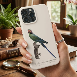 Langstaartparkiet, Psittacula Longicauda Case-Mate iPhone Case