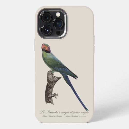 Langstaartparkiet, Psittacula Longicauda iPhone Hoesje (Achterkant)