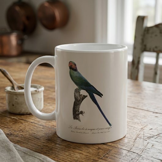 Langstaartparkiet, Psittacula Longicauda Koffiemok