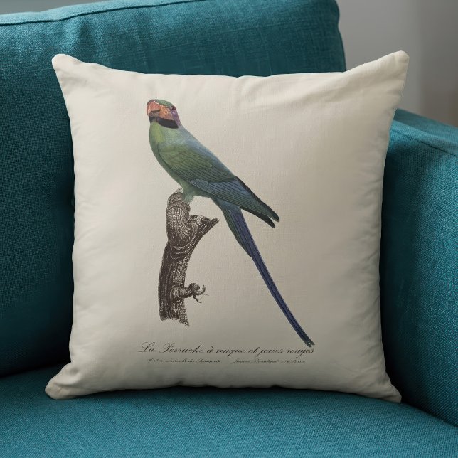 Langstaartparkiet, Psittacula Longicauda Kussen (Long-Tailed Parakeet, Psittacula Longicauda. Throw Pillow)