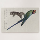 Langstaartparkiet, Psittacula Longicauda Legpuzzel (Horizontaal)